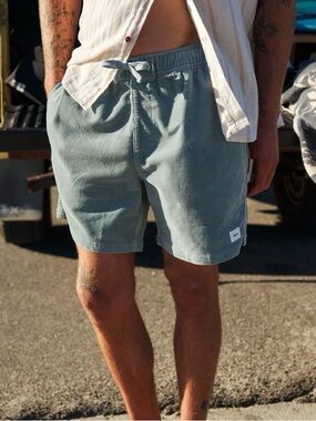 Katin Men’s Cord Local Shorts. Size Small. Gray. Gently Worn